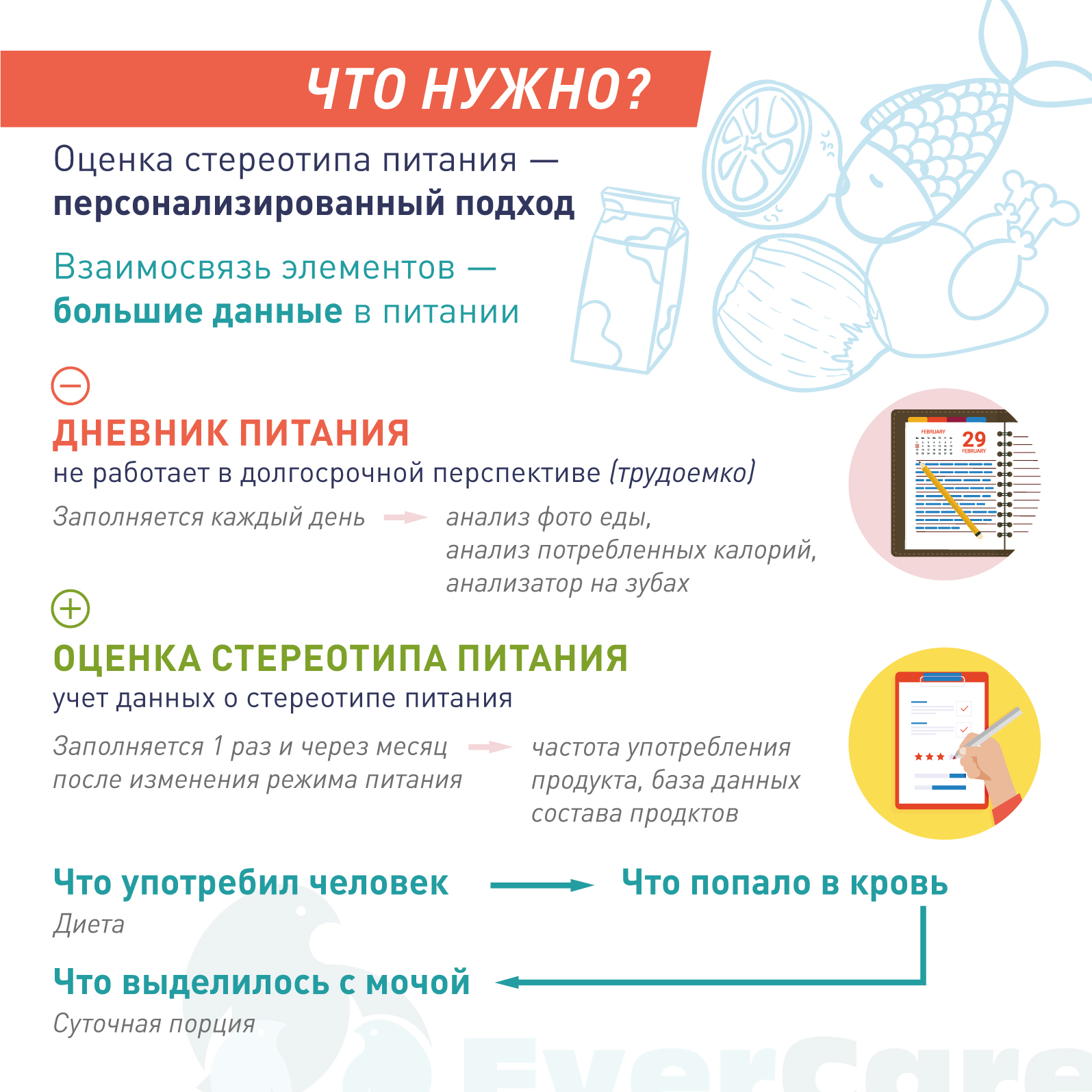 Профилактика и метафилактика мочекаменной болезни. Питание