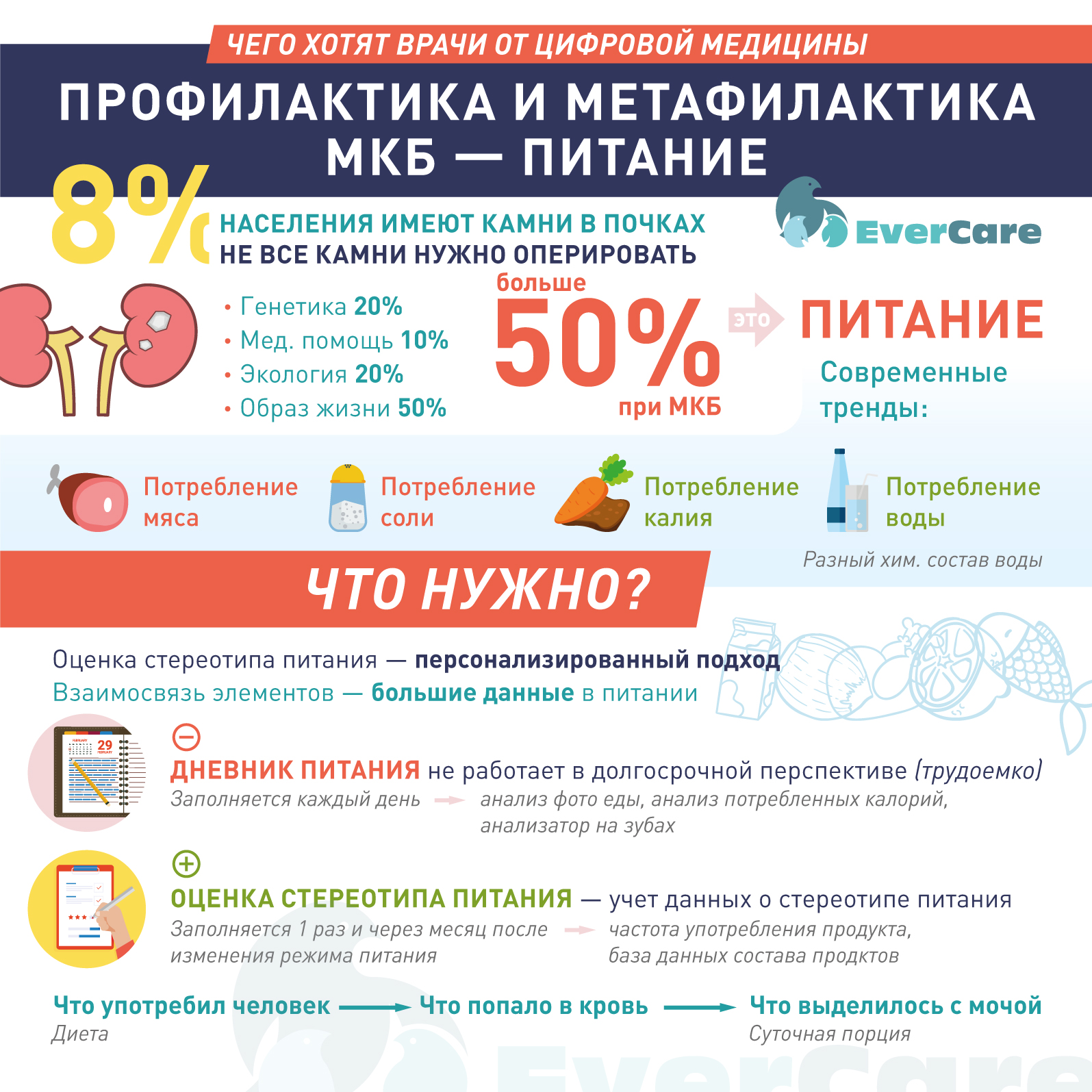 Профилактика и метафилактика мочекаменной болезни. Питание