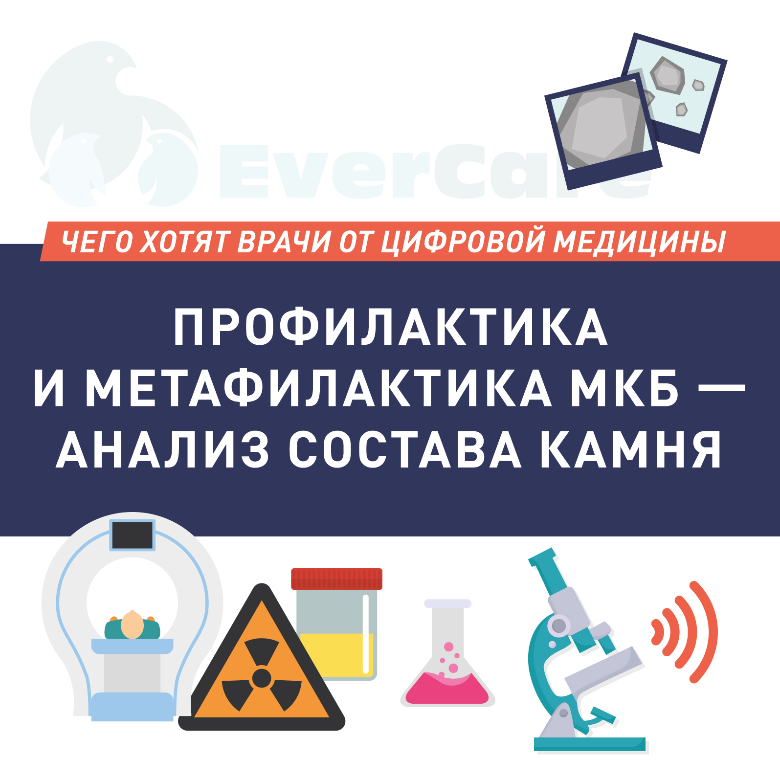 Профилактика и метафилактика мочекаменной болезни. Анализ состава камня
