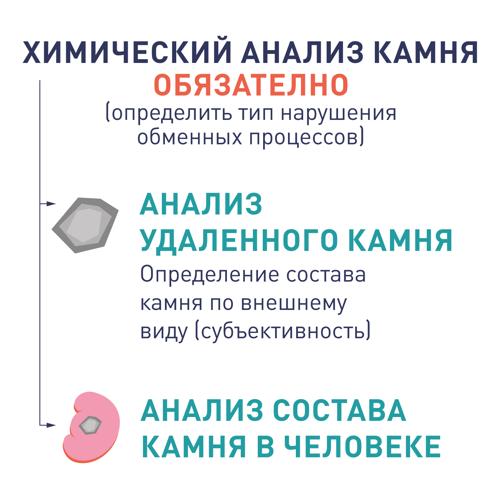 Профилактика и метафилактика мочекаменной болезни. Анализ состава камня