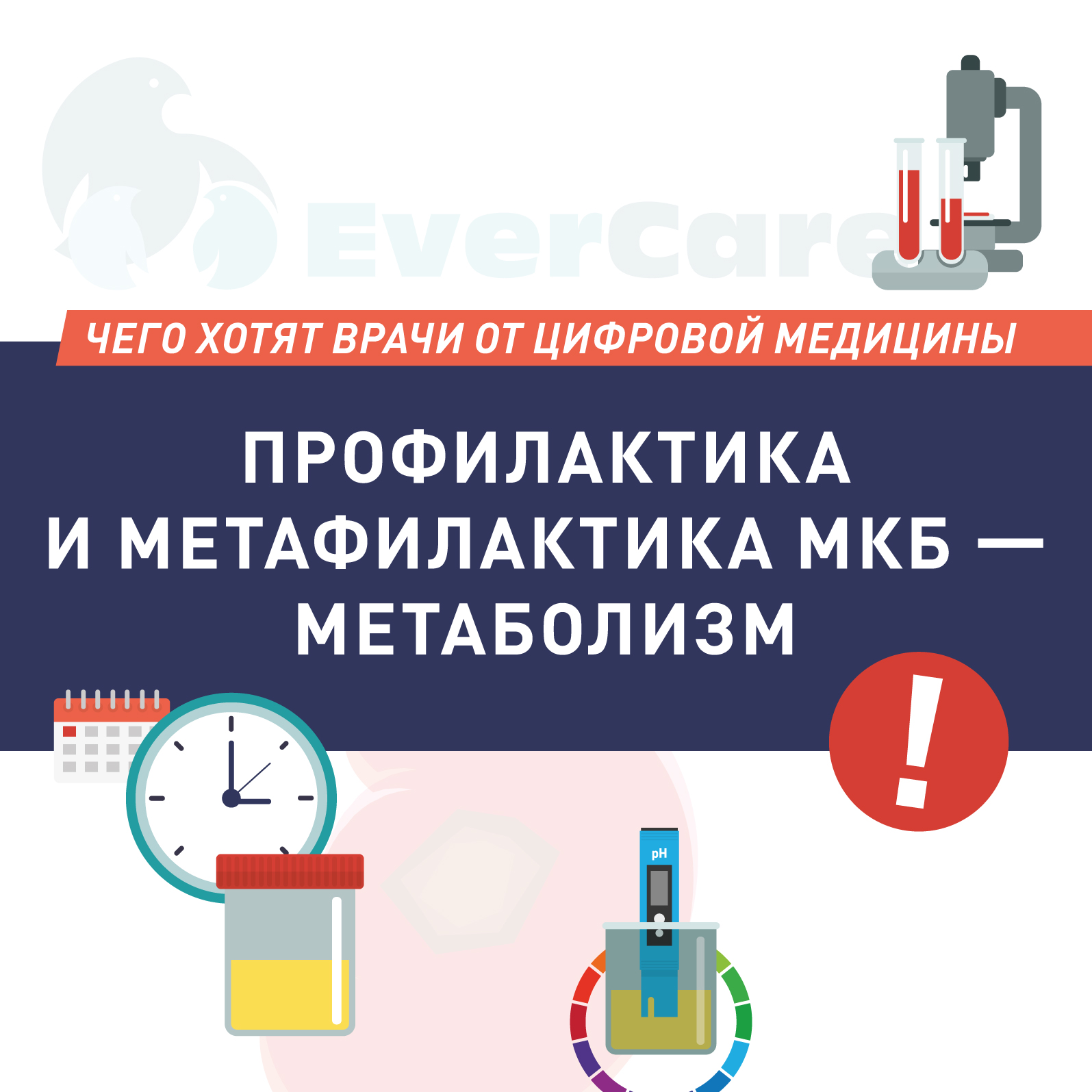 Профилактика и метафилактика мочекаменной болезни. Метаболизм
