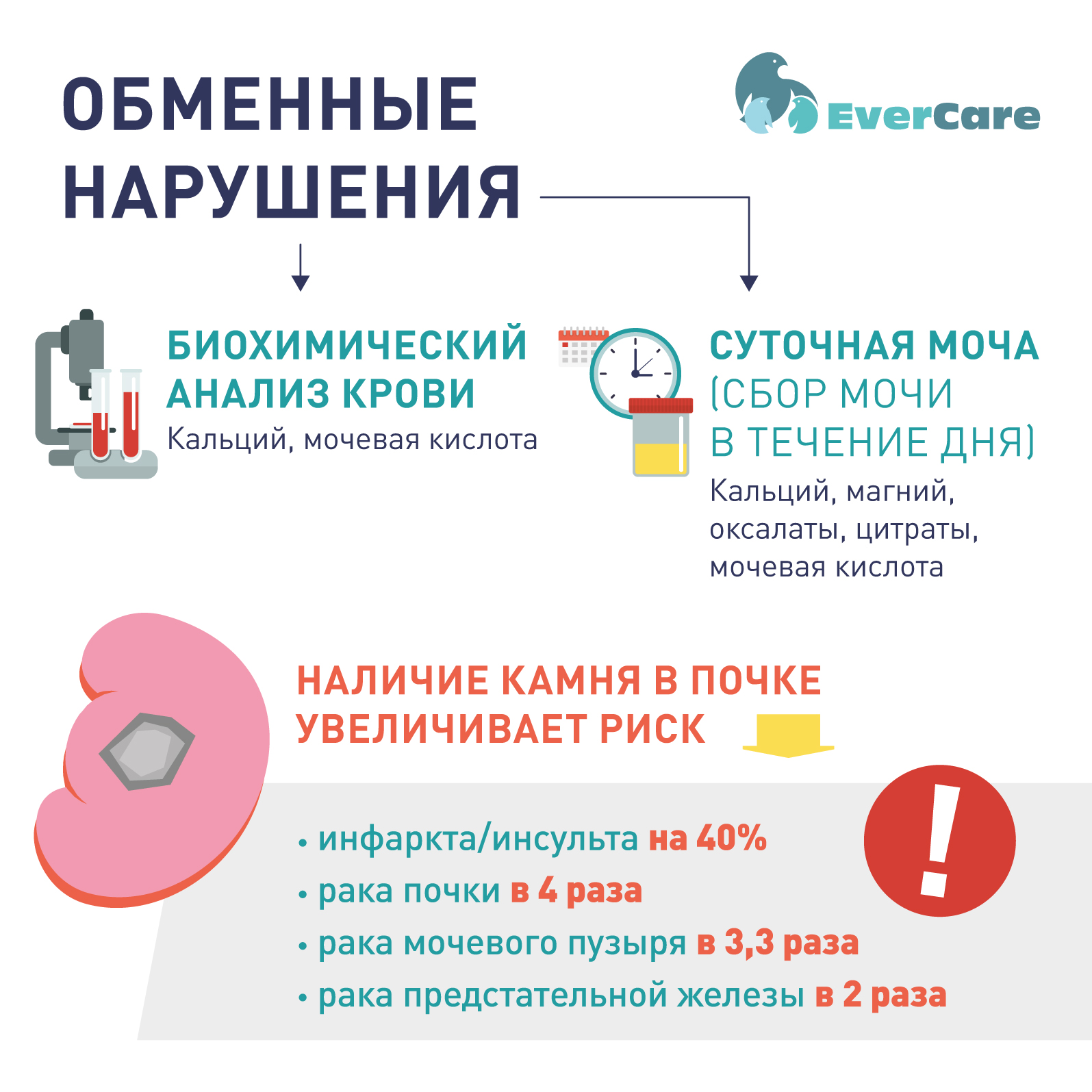 Профилактика и метафилактика мочекаменной болезни. Метаболизм