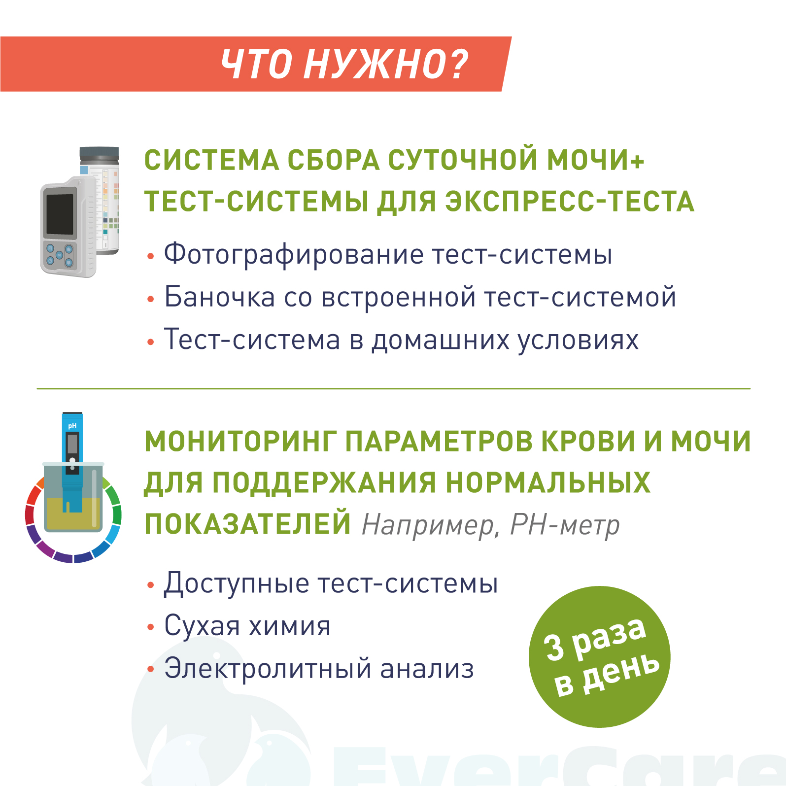 Профилактика и метафилактика мочекаменной болезни. Метаболизм