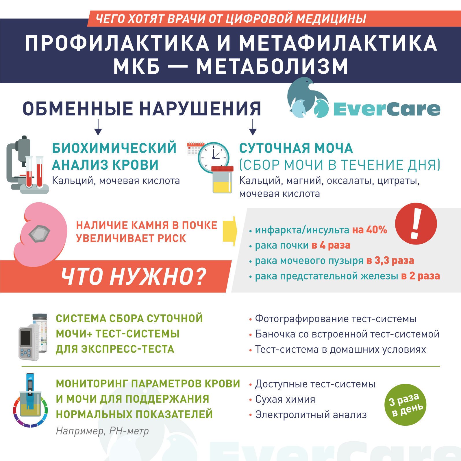 Профилактика и метафилактика мочекаменной болезни. Метаболизм