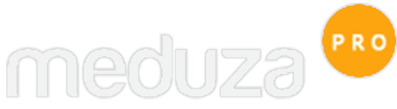 МедузаПРО