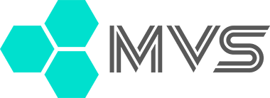 Medical Visual Systems