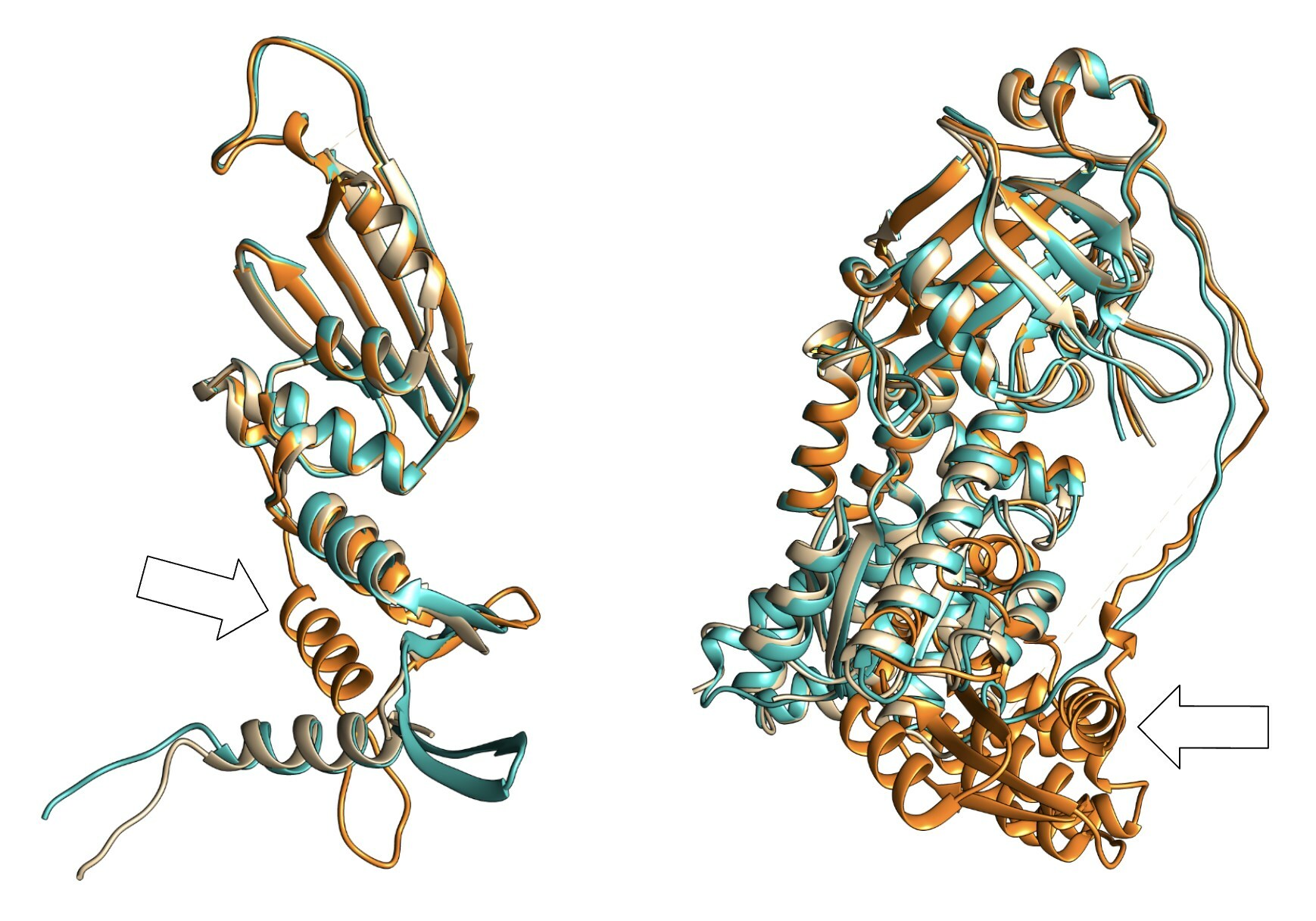 Визуальное сравнение разницы в эффективности структурных предсказаний AlphaFold2 (оранжевый) и BaseFold (голубой) в конкурсах CASP15 и CAMEO