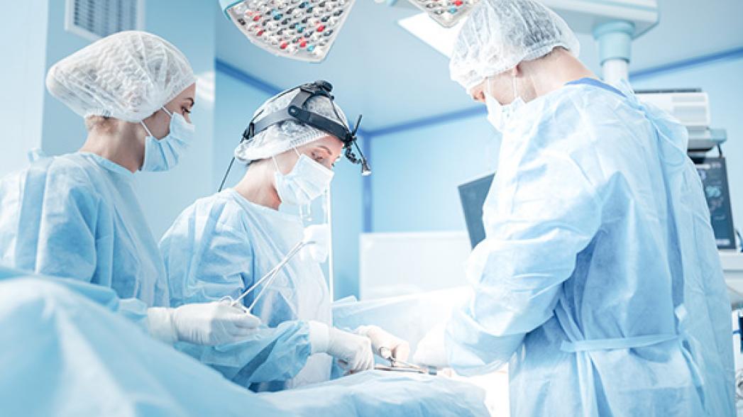 Онлайн-экскурсии в режиме реального времени