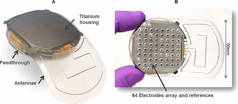 1570364167557691.gif 6846362-fig-1-source-large.gif